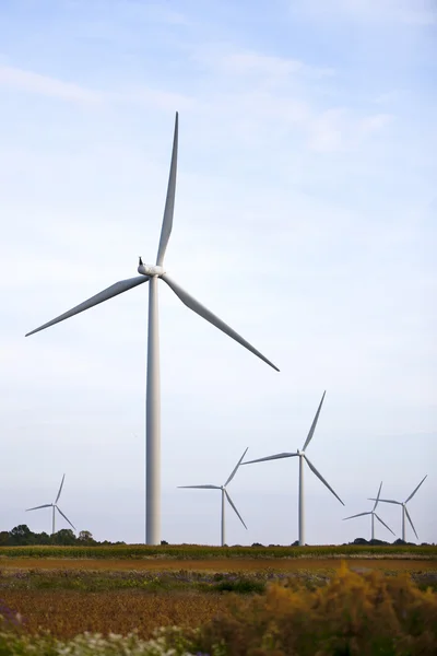 Bild av ett vindkraftverk i rad — Stockfoto