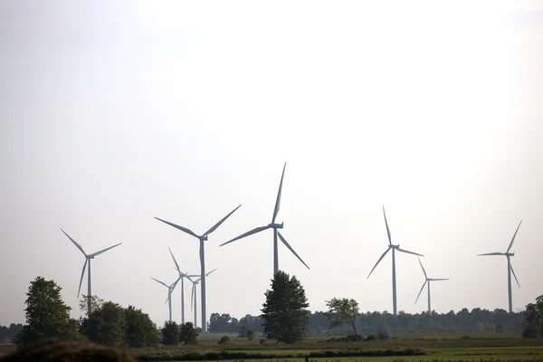 View of a wind turbine in a row — Stock Photo, Image