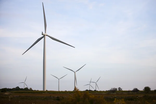 Bild av ett vindkraftverk i ett fält — Stockfoto