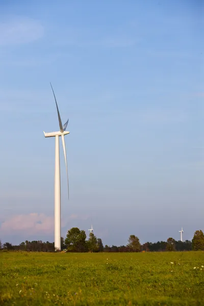 Molino de viento en una feild — Foto de Stock