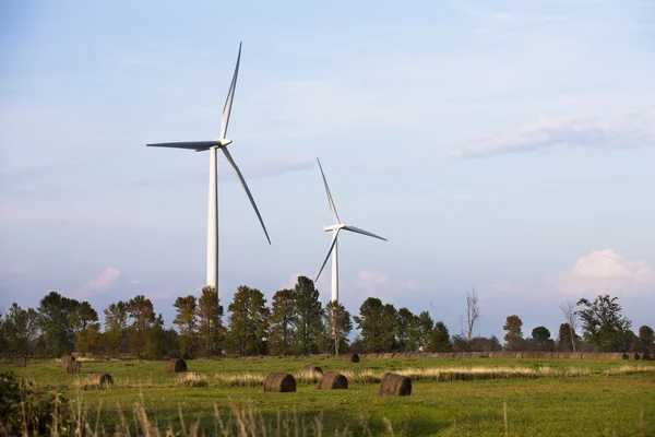 Vindkraftverk i hö fält — Stockfoto