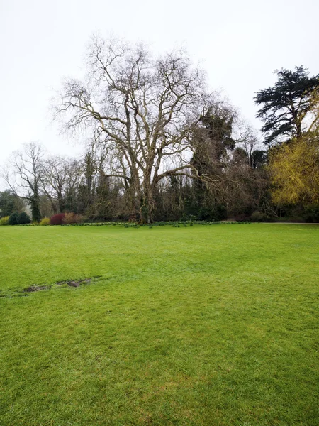 Open Field in England — Stock Photo, Image