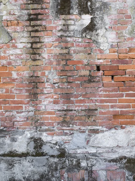 Verlaten bakstenen muur — Stockfoto