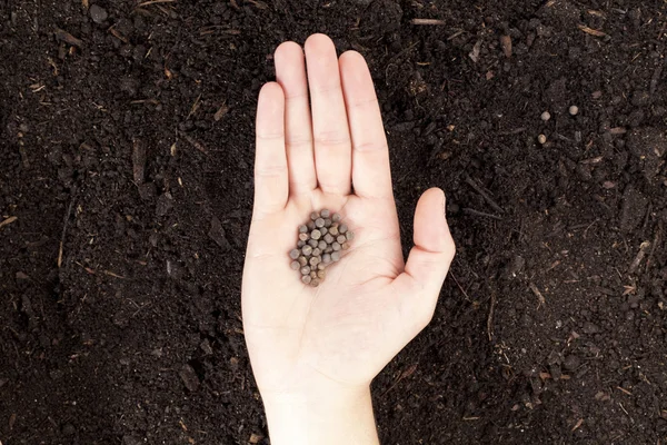 Mão humana com sementes — Fotografia de Stock