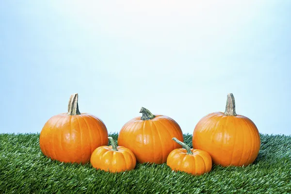 Vista de las calabazas de halloween dispuestas en fila — Foto de Stock