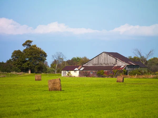 Celeiro no campo de feno — Fotografia de Stock