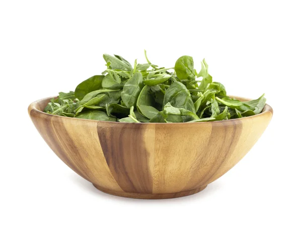 Färsk spenat och sallad sallad — Stockfoto