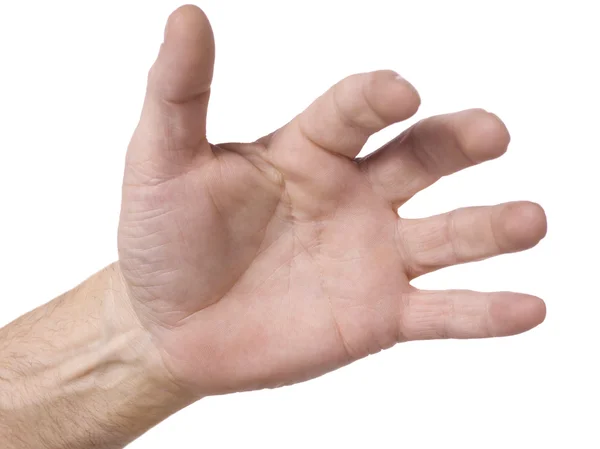 Mänsklig hand — Stockfoto