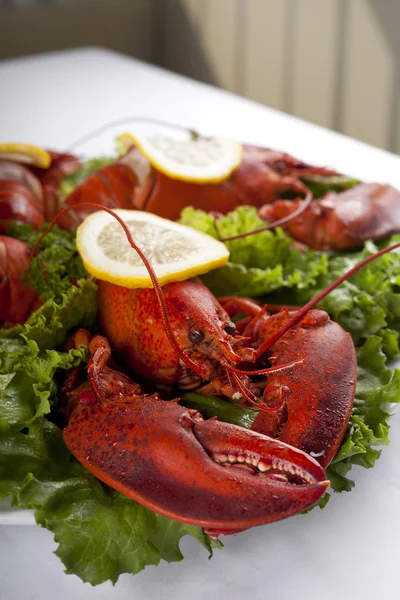 Lobster with lemon slices and lettuce — Zdjęcie stockowe