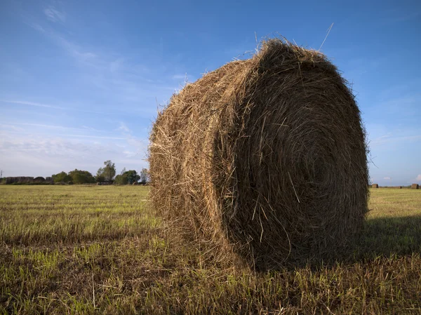 Close up of a hay bale — Stock Photo, Image