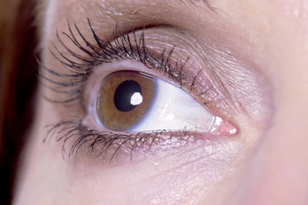 Right eye of a woman — Stock Photo, Image