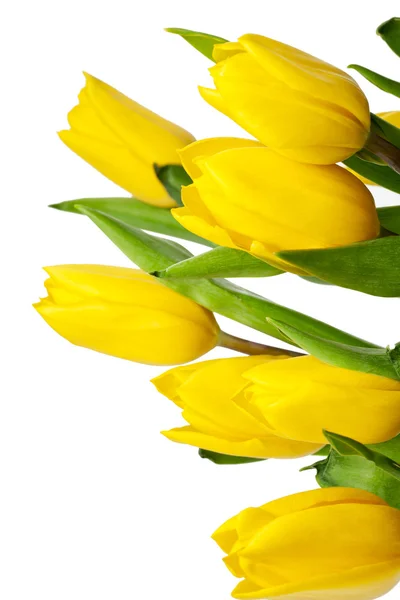 Vertical image of yellow tulips — Stock Photo, Image