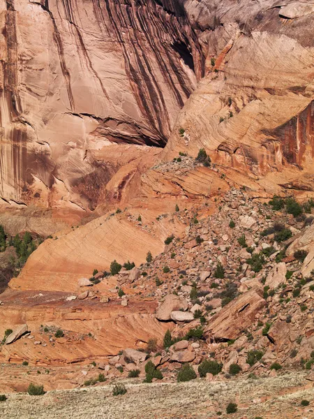 Red rocks and bushes — Stock Photo, Image