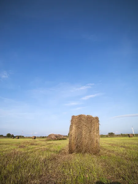 Hay bale in field — Stock Photo, Image