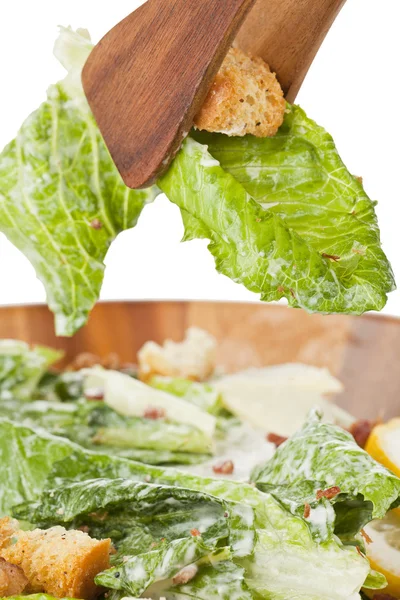 Mengen Caesarsalade — Stockfoto