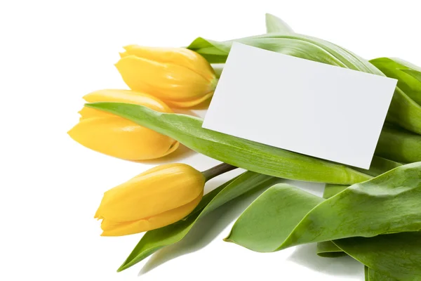 Tulips and white sheet — Stock Photo, Image