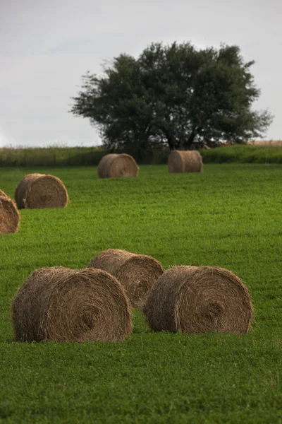 Syn på höbalar i fältet — Stockfoto