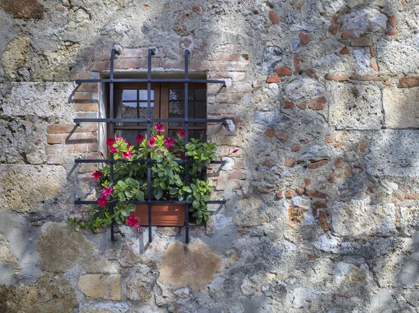 Wall with a small window with growing plants — Stock Photo, Image