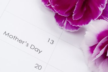 karanfil takvim ile görüntü kadar yakın