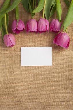 Pembe Laleler ve beyaz boş kartı