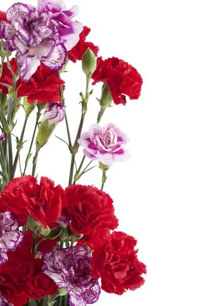Букет розовых и красных цветов — стоковое фото