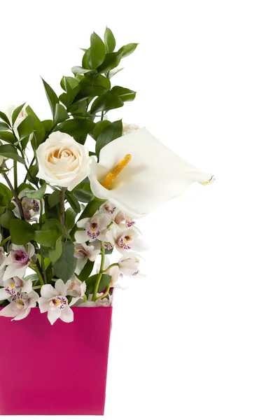 Обрізане зображення квіткової вази в квітковому горщику — стокове фото