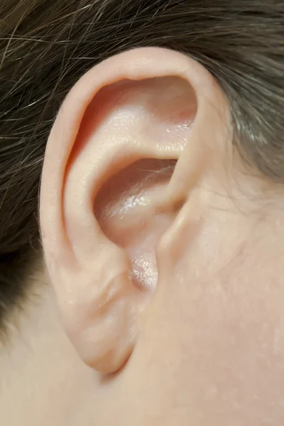 Ucho ženy — Stock fotografie