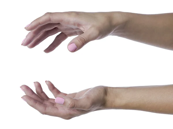 Female hands holding something — Stock Photo, Image