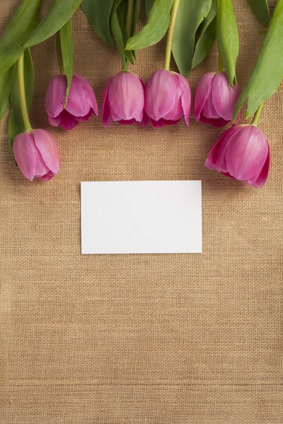 Pink tulips and white blank card — Stock Photo, Image