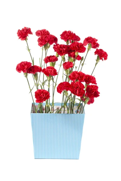 Flores vermelhas em vaso de flores — Fotografia de Stock