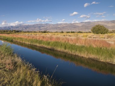 Mavi dar Nehri