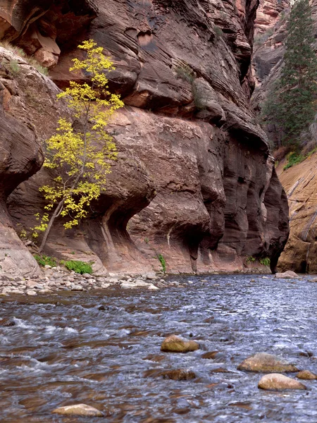 Agua corriente del río — Foto de Stock