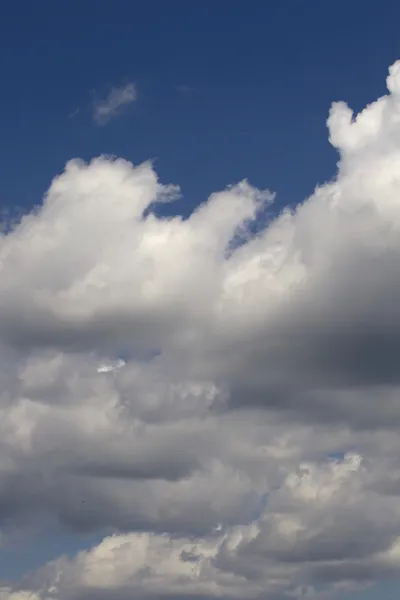 積雲の雲の低角度のビュー — ストック写真