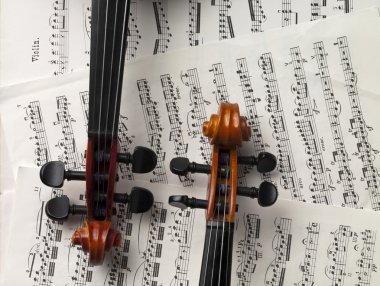 pegbox and neck of violins clipart