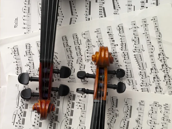 Pegbox och halsen av violiner — Stock fotografie