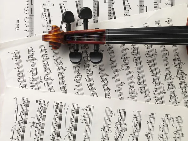 Peghead of violin and music sheets — Stock Photo, Image
