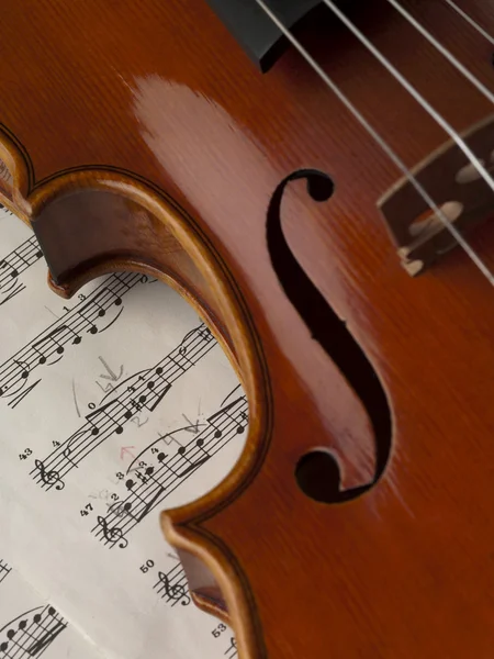 바이올린의 허리 — 스톡 사진