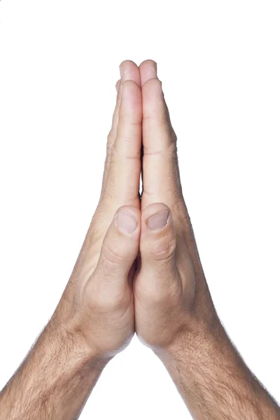 Praying hands of a man — Stock Photo, Image