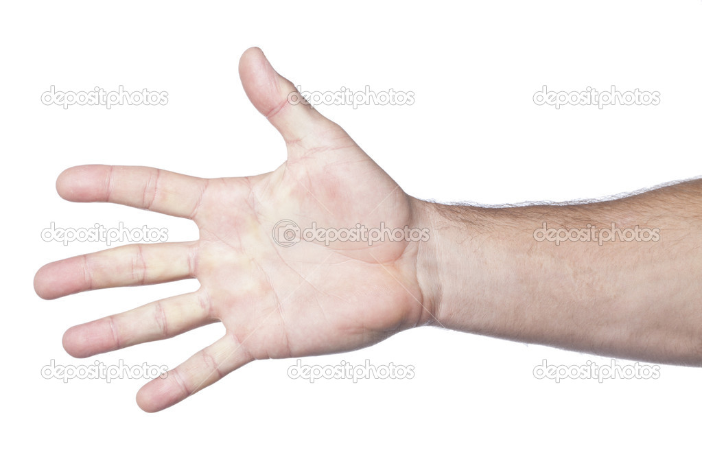 Right Hand With Open Palm Stock Photo By C Kozzi2 Right Hand With Open Palm Stock Photo By C Kozzi2