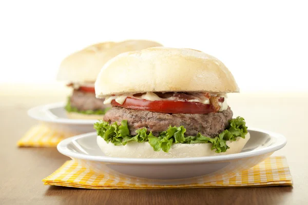 Zwei Platten des hamburger — Stockfoto