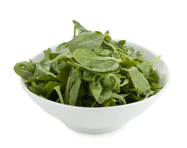 Wet green spinach leaves — Stock Photo, Image