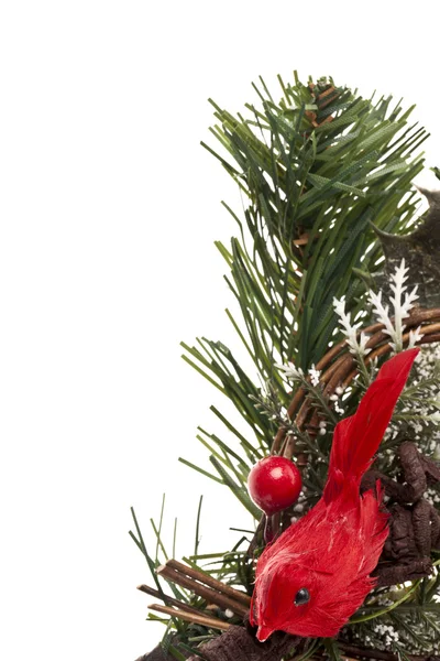 Weihnachtsbaum mit Beere und Vogel — Stockfoto