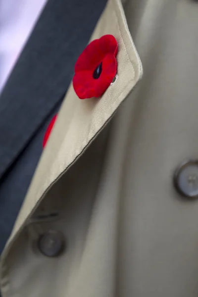 Close up shot of a fake flower on coat collar — Stock Photo, Image