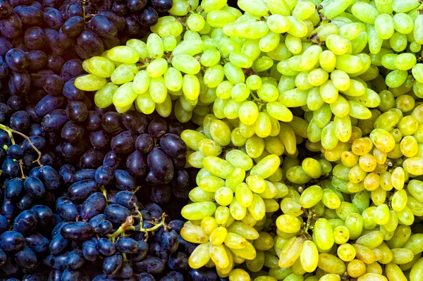 Camarões de uvas — Fotografia de Stock