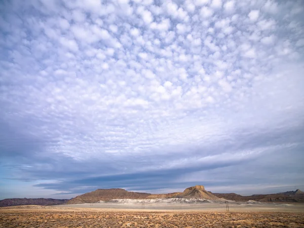 Plains of cottonwood — Stock Photo, Image