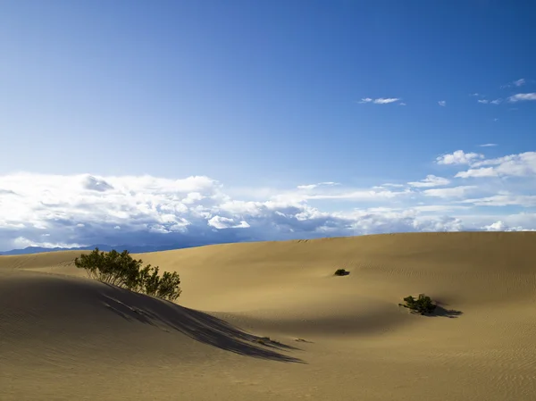 砂と空 — ストック写真