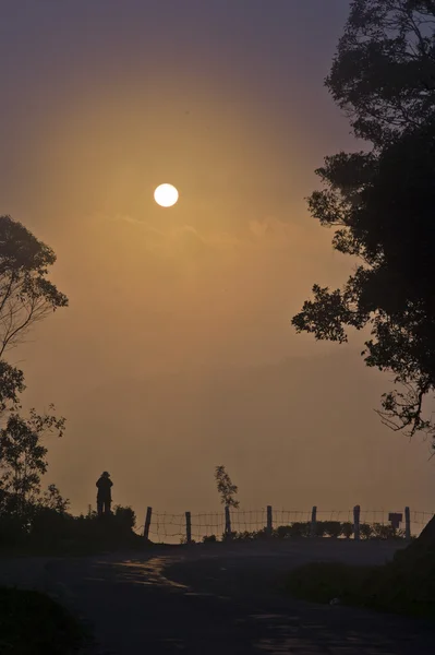 Puesta de sol en Munnar India — Foto de Stock