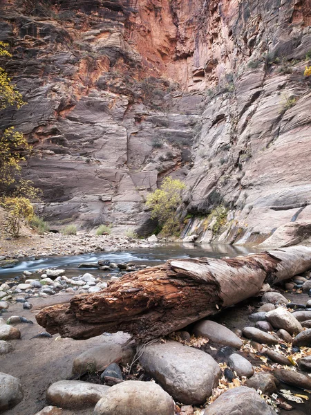 Recogida de agua en las rocas — Foto de Stock