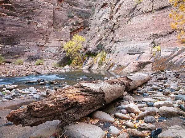 Water pool on the rocks — Stock Photo, Image