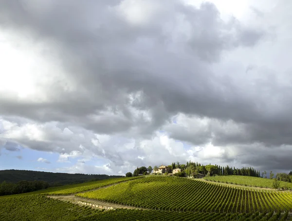 Tuscan vineyard with dramatic clouds — Stock Photo, Image